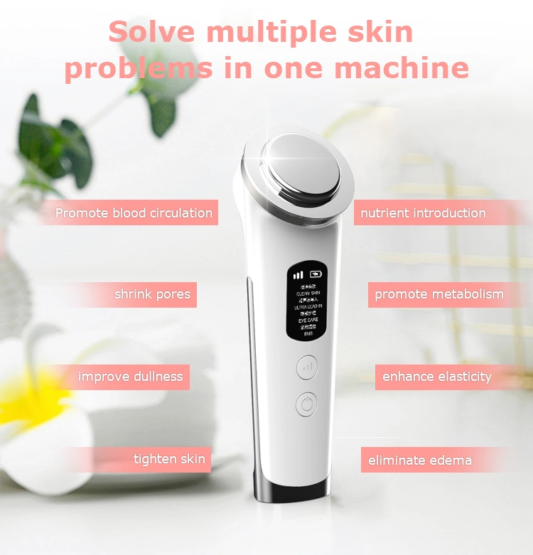 2020 Hot Home Use Beauty Equipment Ultrasonic Atomization EMS Multi-Functional Ultrasound Beauty Equipment