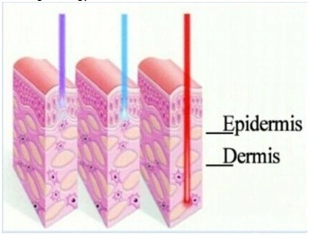 PDT LED Facial LED PDT Bio-Light Therapy Beauty