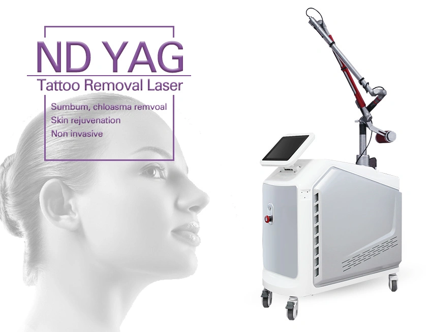 1064 ND YAG 532 Ktp Portable Q Switch ND YAG Laser Tattoo Removal