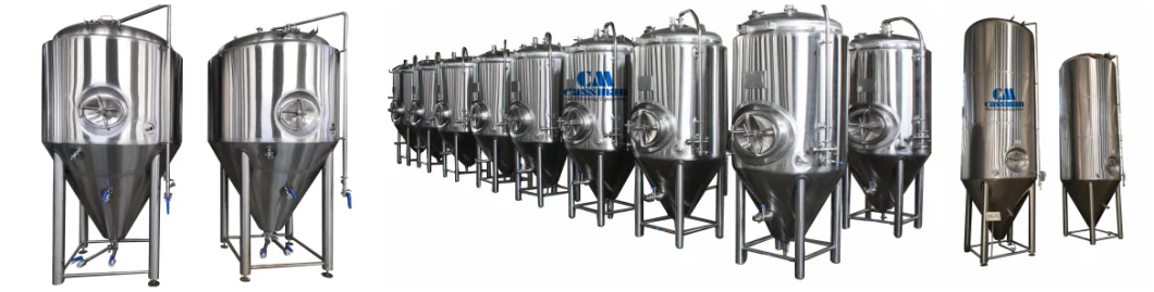 Cassman 1000L-5000L Stainless Steel Industrial Beer Equipment Conical Fermenter