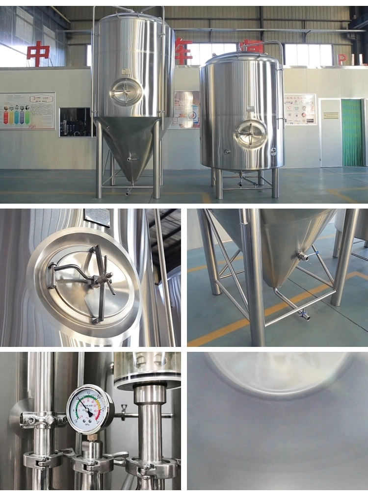 Tonsen 300L 500L 1000L 1500L Beer Fermenter Microbrewery Fermentation Equipment Beer Fermenting