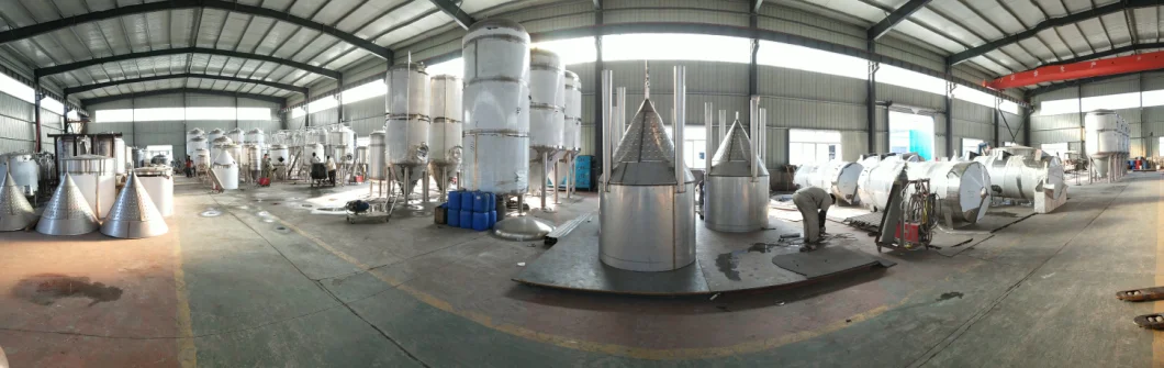 500L Small Beer Equipment Micro Brewhouse Fermenters for Brewery