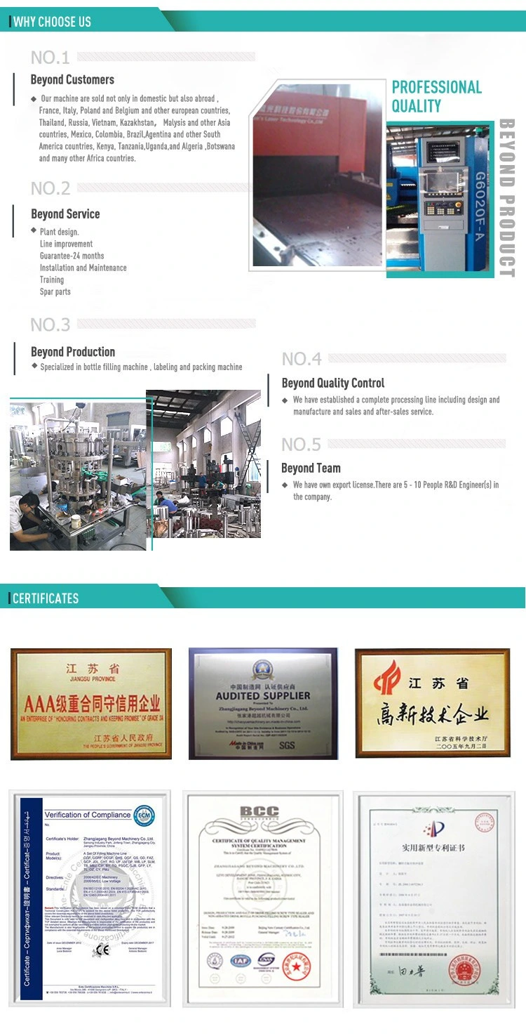 High Quality Canned Beer Processing Equipment