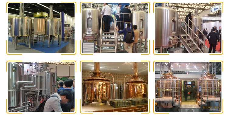 500L Beer Brewing System Craft Beer Equipment Brewing Brewery