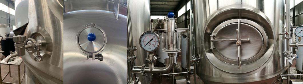 10hl Micro Brewery Equipment for Making Homebrew Beer with Fermenters