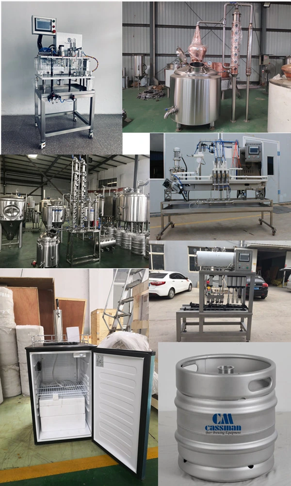 Cassman Turnkey Project Fermenting Equipment 300L Home Brewery for Bar
