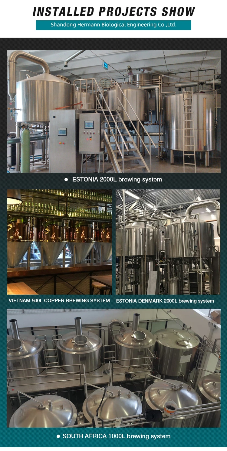 100L 200L 400L 1500lbeer Fermenting System for Craft Beer Fermentation SUS304 Double Jacketed Beer Fermenter