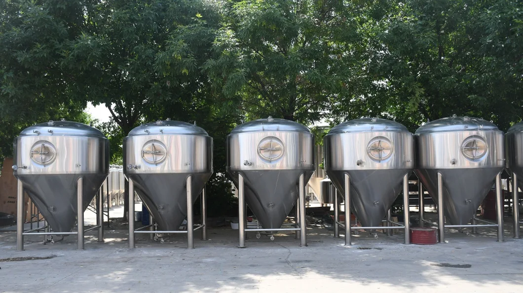 High Quality Fermenter Tank Storage Tank Fermenting Tank