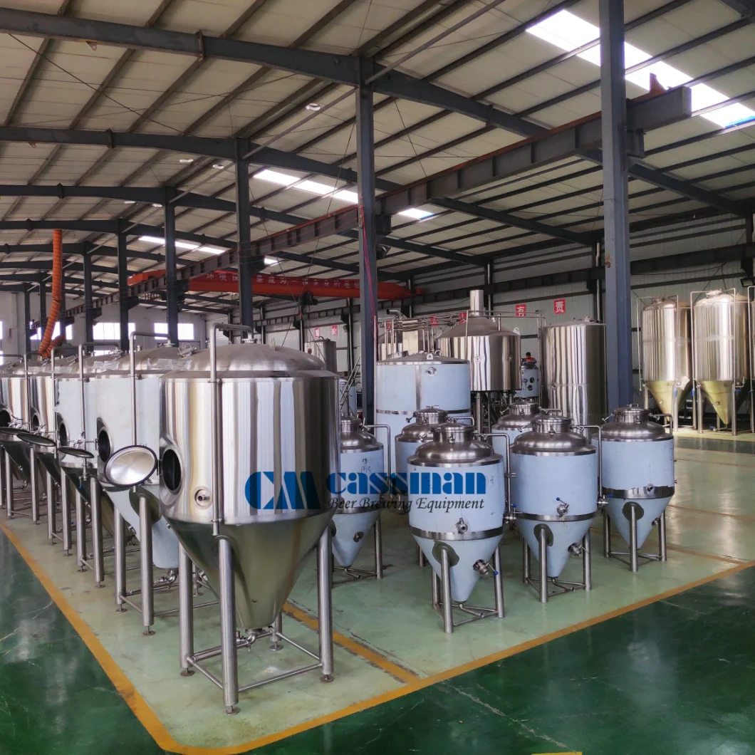 Cassman 200L 300L Mini/Micro Beer Brewery Equipment for Sale