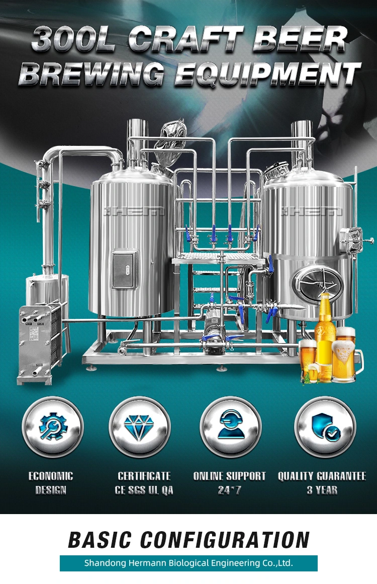 300L Draft Beer Equipment Micro Brewing Equipment for Brewpub/Bar/Hotel/Restaurant