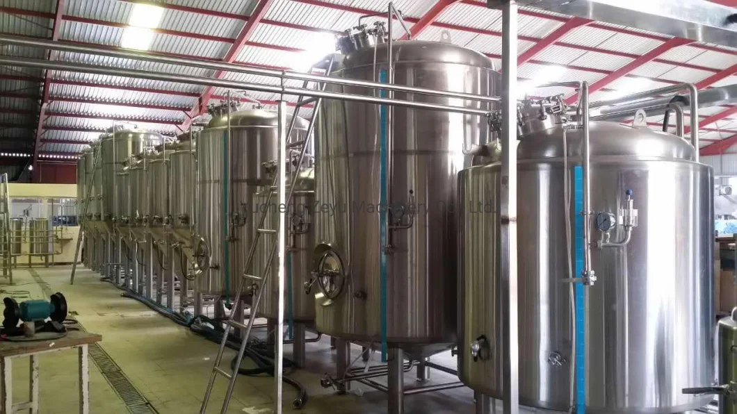Beer Brewing Equipment Bright Beer Tank/Bbt for Beer Storage