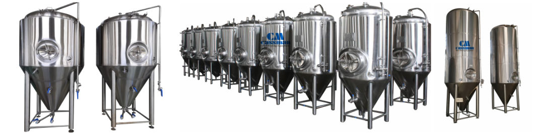 Cassman 300L Micro Brewery Equipment Stainless Steel Fermentation Tank