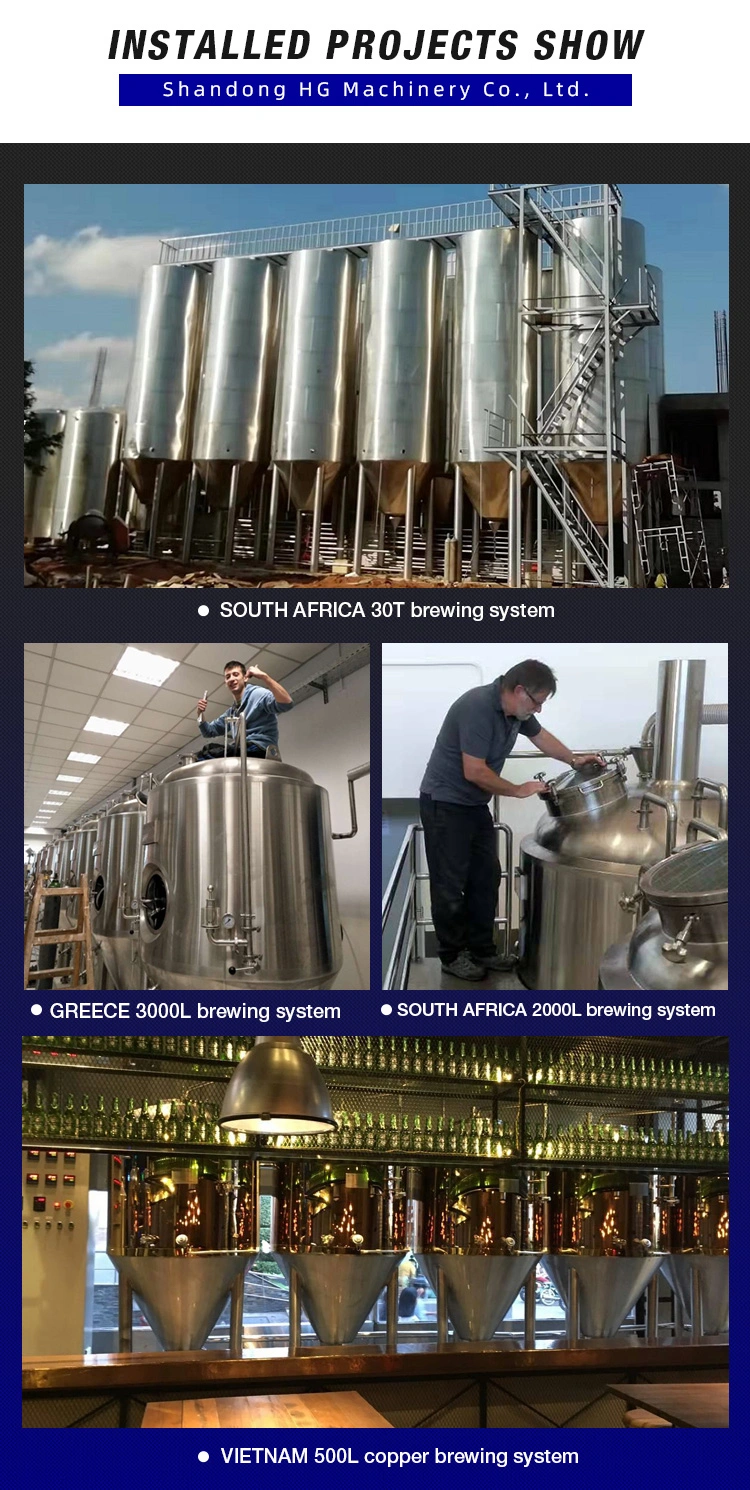 100L 200L 300L 500L 1000L Turnkey Project of Brewery Whole Set Micro Brewing Equipment