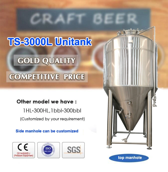 1000L Professional 304 Stainless Steel Beer Bar Fermenting Brewing Equipment for Sale