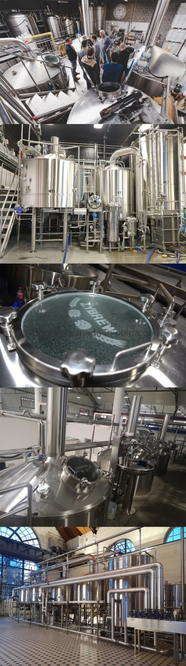 100L 200L 300L 500L 700L 1000L 2000L Steel Brewing Micro Craft Beer Brewery Equipment