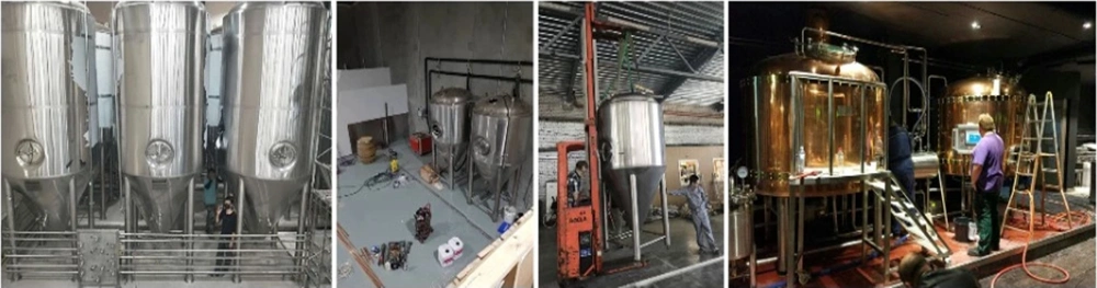 Automatic Beer Making Machine to Make Craft Beer with Capacity 100L