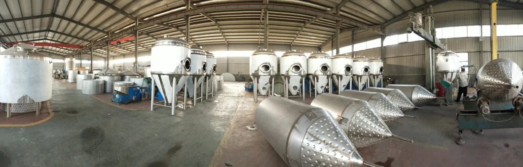 600L Craft Beer Brewing Equipment Industrial Brewhouse Brewery