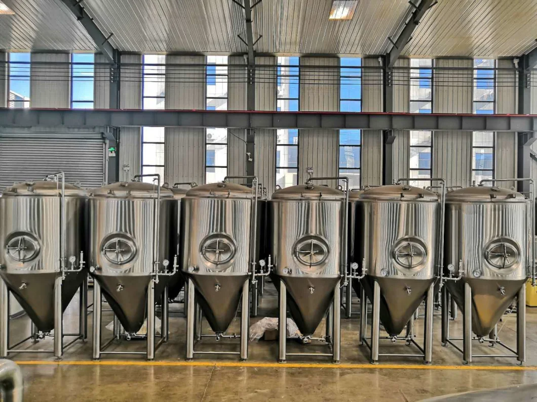 100L Beer Fermentation Tank Micro Brewery Beer Brewing Equipment