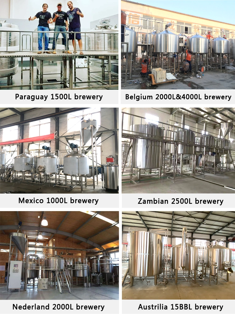 High Quality Micro 500L Beer Brewery for Beer Brewing Equipment
