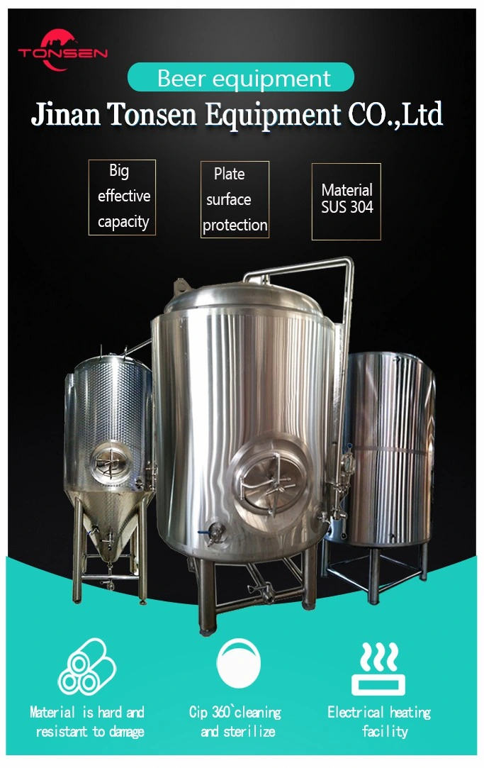 100L 300L 500L New Condition Fermenting Equipment Processing Beer Brew