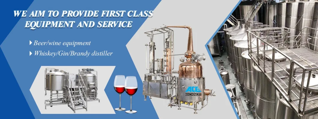 300L 500L1000L Stainless Steel Fermentation Beer Fermenting Equipment Micro Brewing Machine Turnkey Project for Sale
