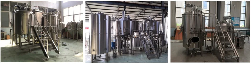 Cassman SUS304 2 Barrels 500L Beer Fermenting Equipment for Brewpub