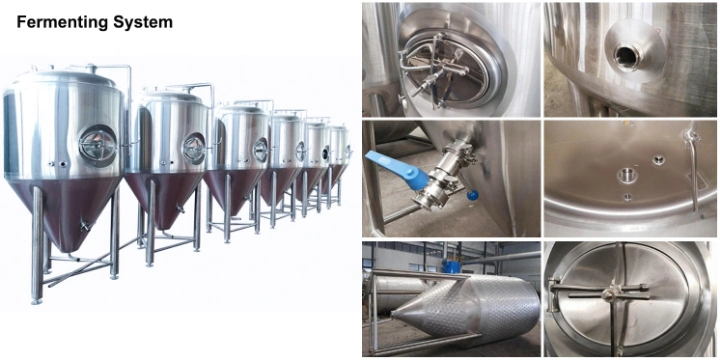 Small Scale Mini Microbrewery Beer Brewery Equipment Mash Lauter Tun Fermentation Tank