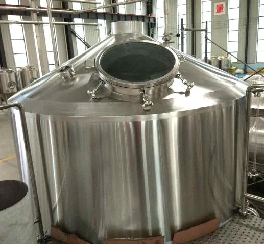 Tonsen Small Model 500L Brewery Equipment Beer Fermenting Turnkey Plant