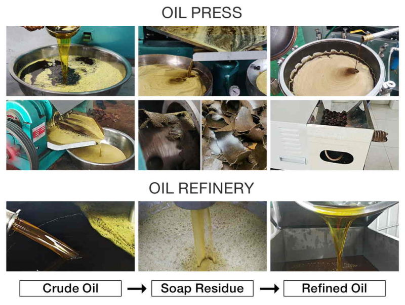 Cooking Castor Oil Extraction Machine and Soybean Oil Machine