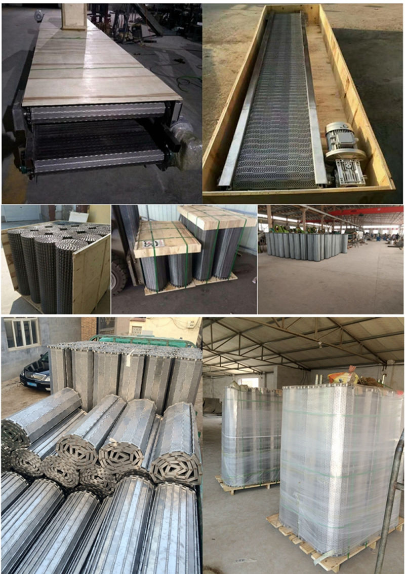 Metal Plate Conveyor Belting Lifting Conveyor for Product Sterilization Conveyor