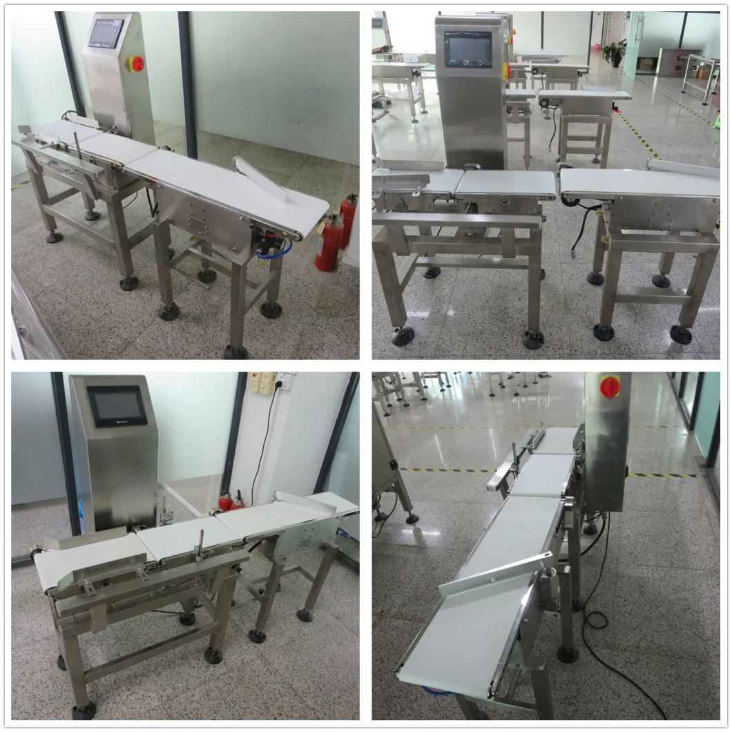 Chinese Digital Cheap Price Automatic Check Weigher Machine for Parcels