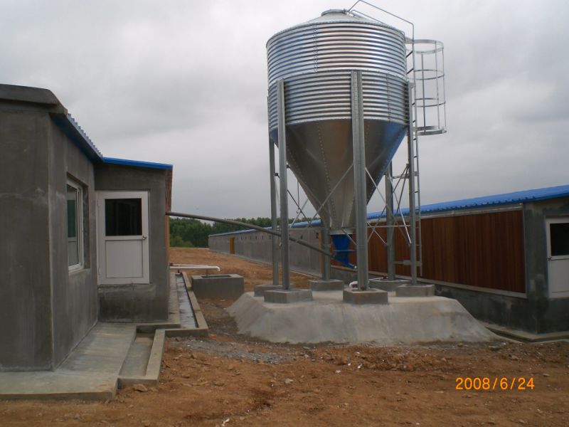 Different Automatic Equipment and Facilities for Poultry House