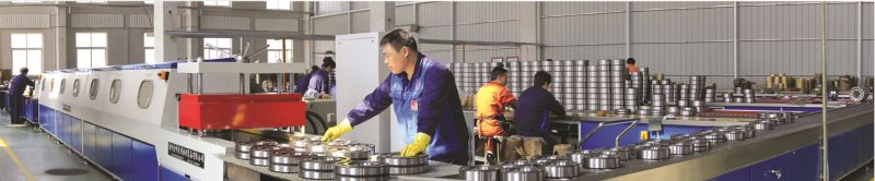 Food Processing Equipment, Glass Processing Equipment, Turntables and Index Plates, Packaging Machinery, Machine Tools, Medical Equipment,Others Slewing Bearing