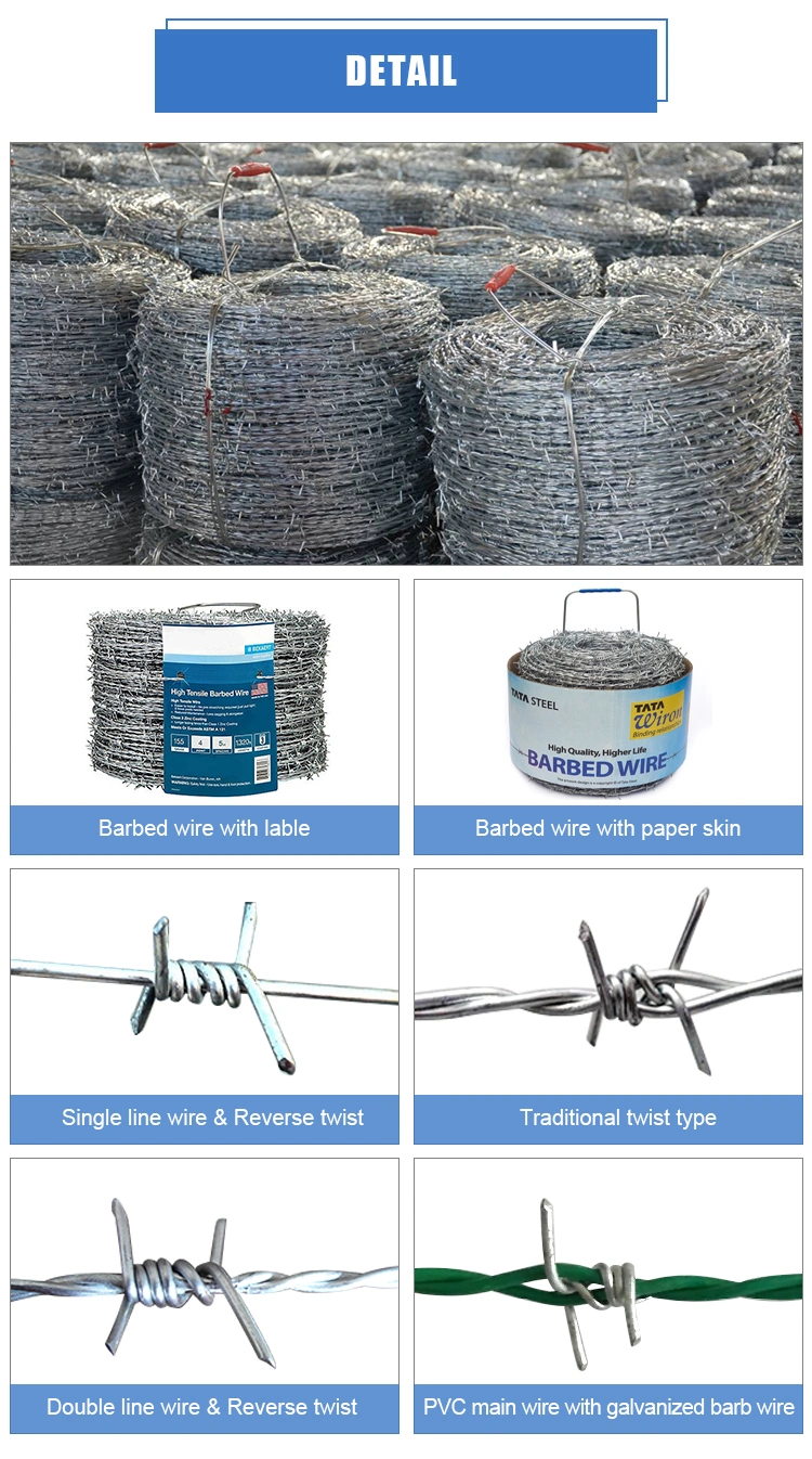 Hot-Dipped Galvanized Barbed Wire for Airport Security Fence