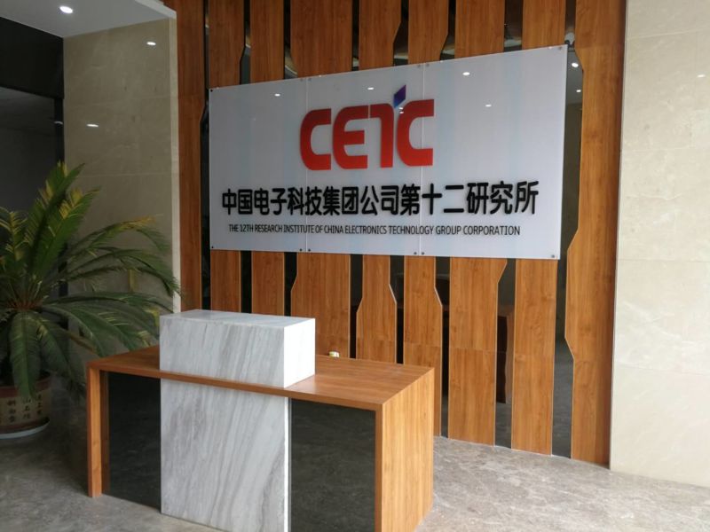Cetc Made in China Cargo and Container Scanner