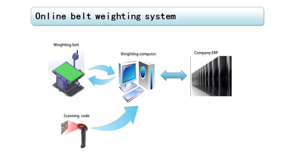 Dynamic Check Weight Weighing Scanning Machine for Parcels