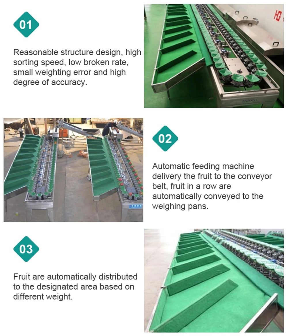 Vegetable Sorting Grading Process Conveyor Belt Weight Sorting Machine