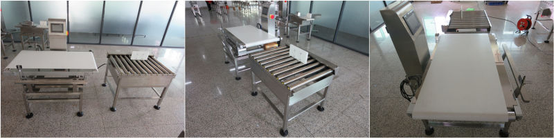 Automatic Checking Weighing System with Auto-Rejector Equipment