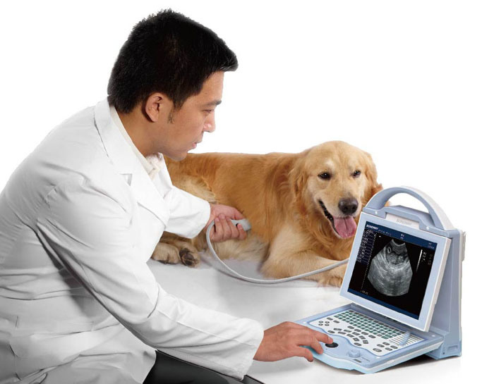 Medical Equipment Doppler Ultrasound Scanner, Veterinary Ultrasound Scanner
