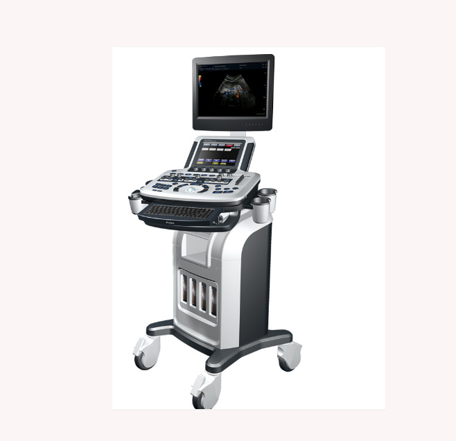 PT300 Color Ultrasound System/Color Ultrasound Scanner
