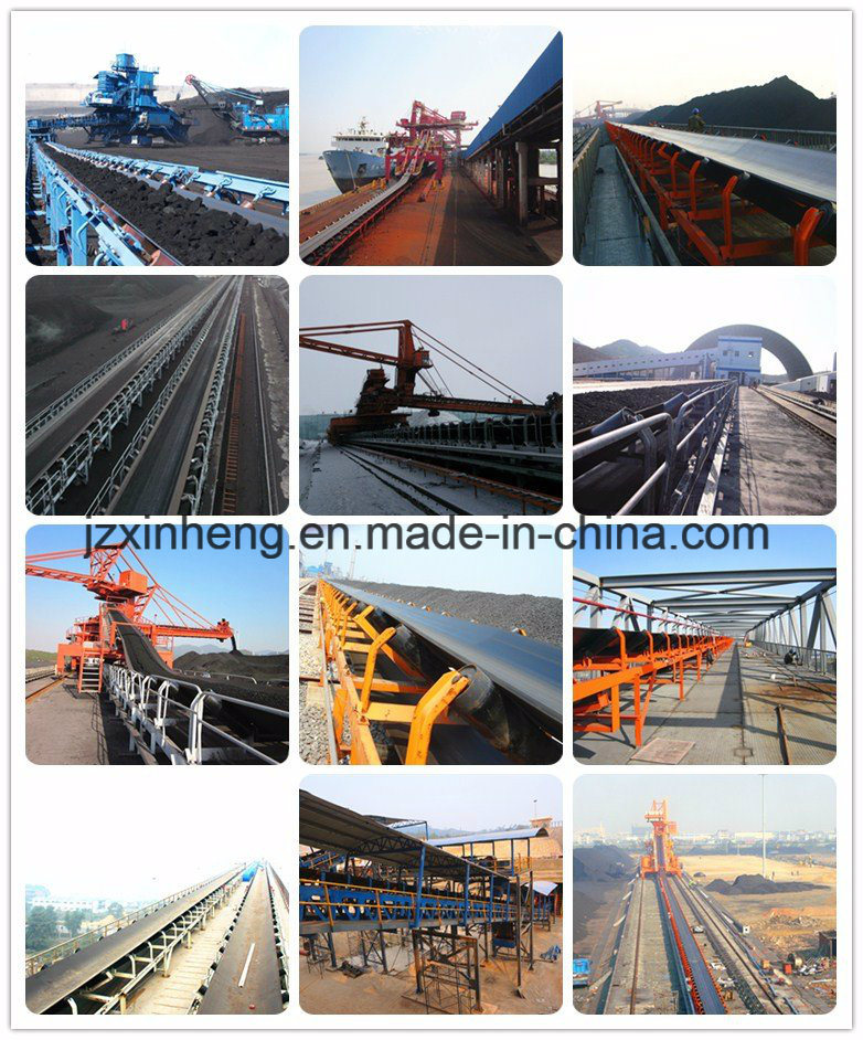 Different Type Belt Conveyor, Pipe Conveyor, Curved Conveyor