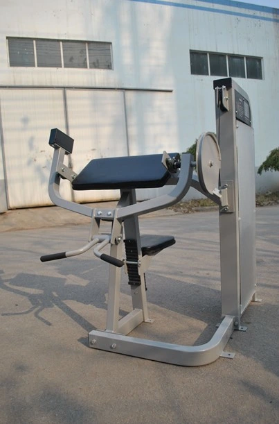 High Security Gym Equipment Biceps Machine Fitness Equipment