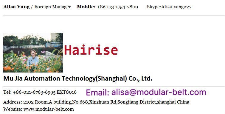 Hairise Black PVC Airport Luggage Conveying Belt Conveyor with Ce