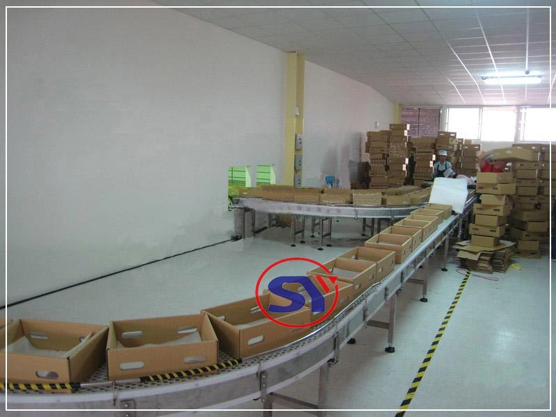 Adjustable Speed Roller Bed Conveyor for Airport Checking