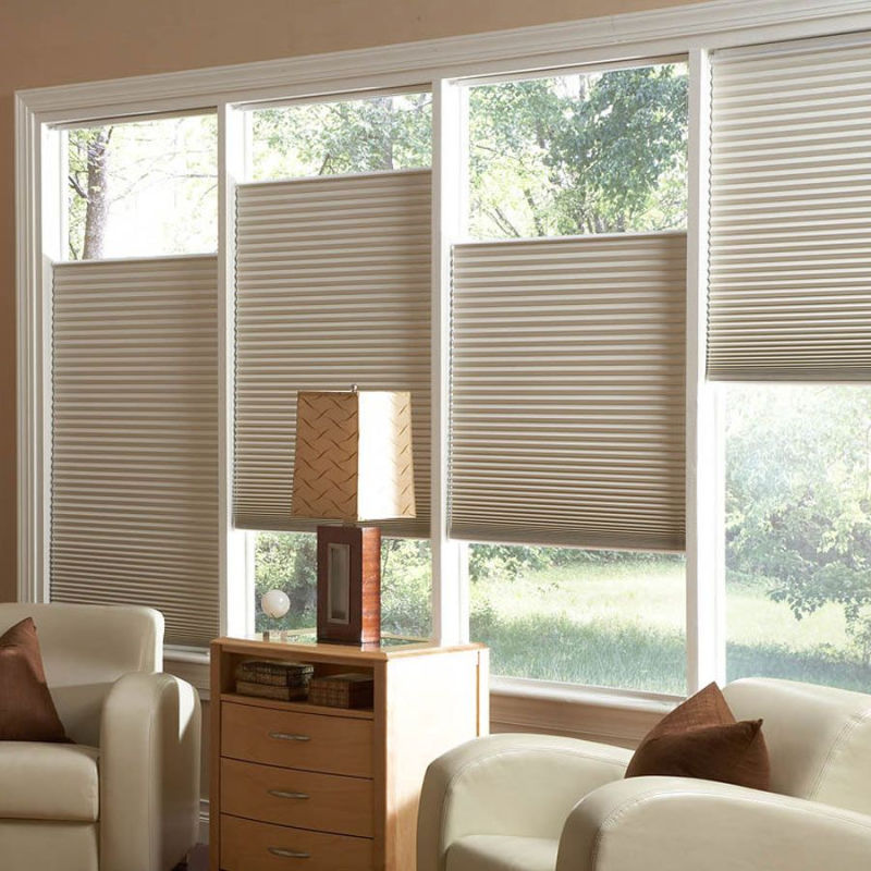 Double Cellular Honeycomb Blind Double Cellular Shade Dual Cellular Blind