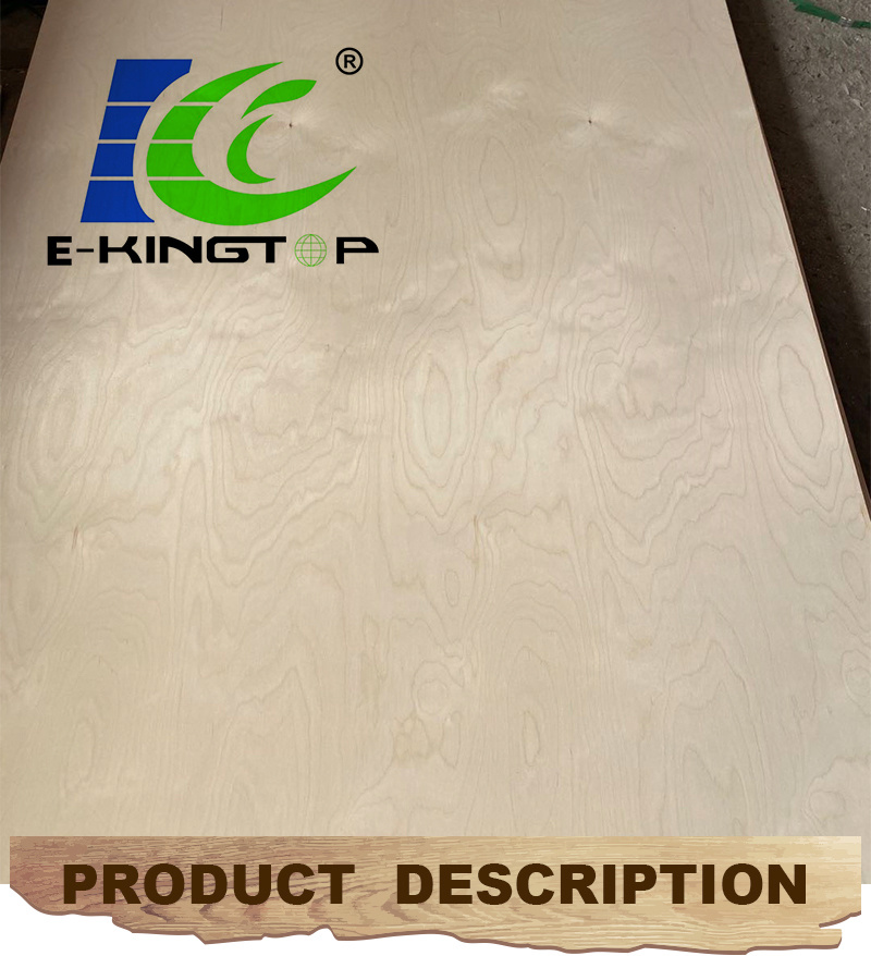 High Quality UV Coated Birch Plywood for Furniture Use