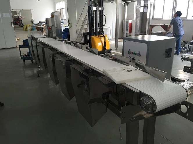 Parcel Weight Sorting Machine