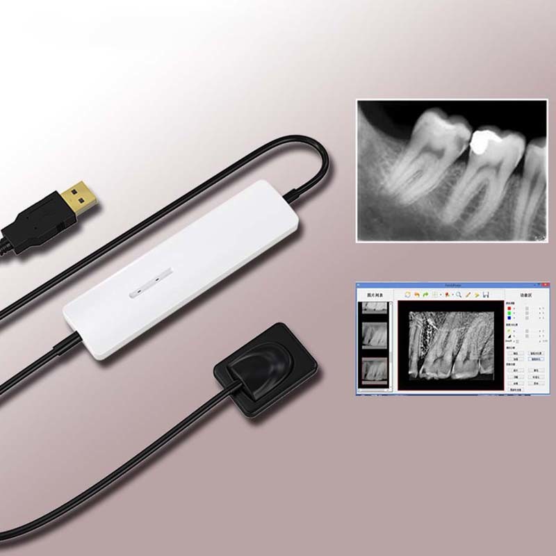 Digital X-ray Sensor of Dental Equipment