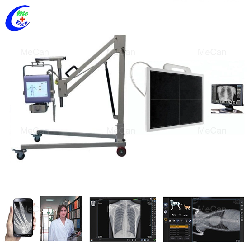 Dr X-ray Medical Equipment, X Ray Dr Veterinary