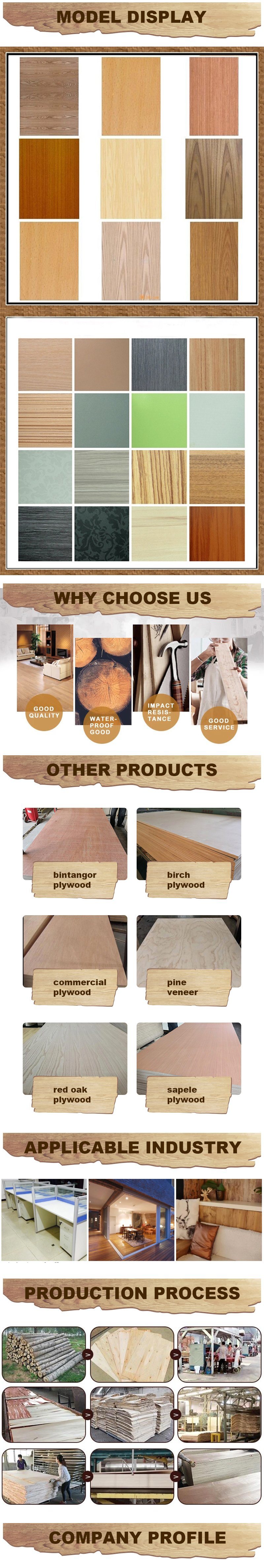 High Quality UV Coated Birch Plywood for Furniture Use